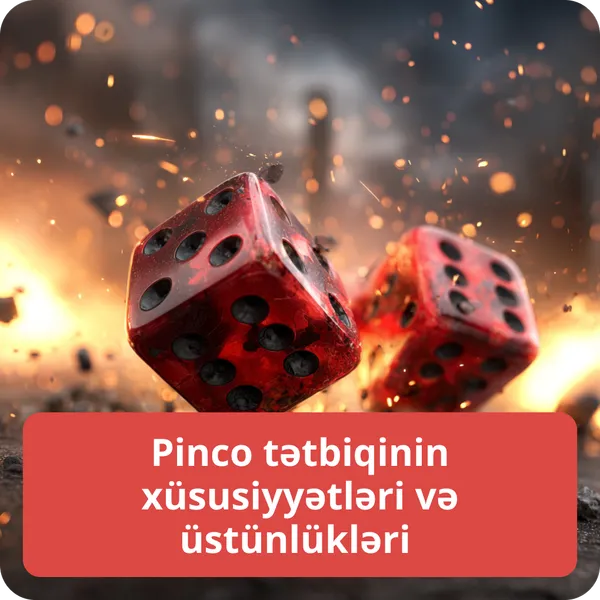 Pinco tətbiqinin xüsusiyyətləri və üstünlükləri